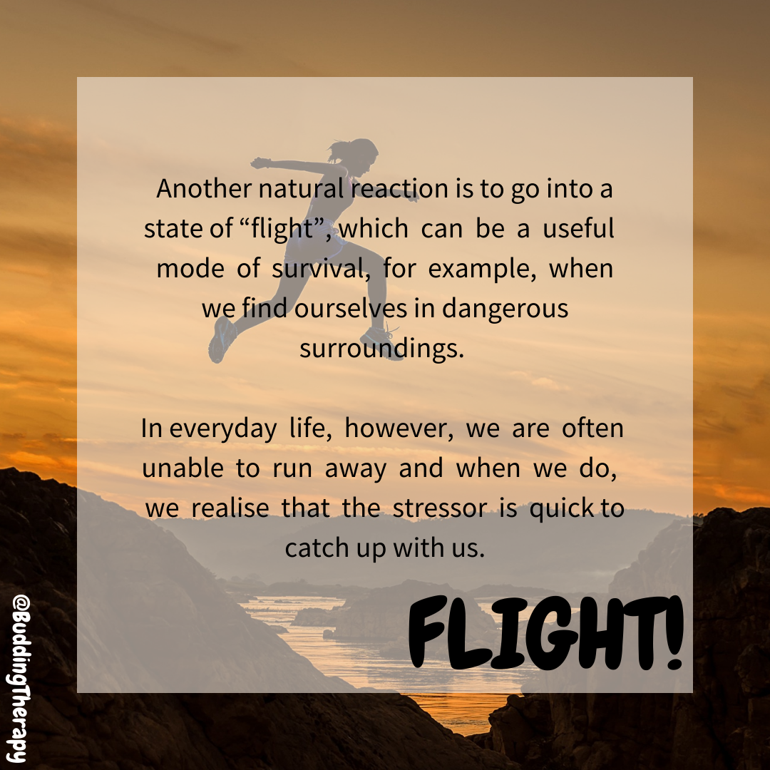 Flight
Another natural reaction is to go into a state of flight which can be a useful mode of survival e.g when we find ourselves in dangerous surroundings.
In everyday life we are often unable to run away & when we do, we realise that the stressor is quick to catch up with us
